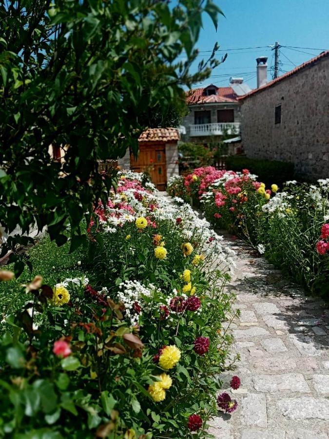 Bujtina Shkodrani Voskopojë Exterior foto